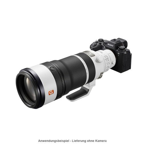 Sony SEL FE 100-400/4,5 GM